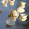 oval shell signet ring