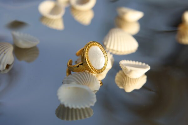 oval shell signet ring