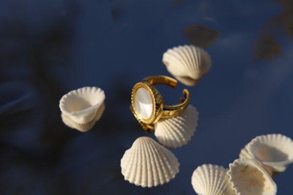 oval shell signet ring