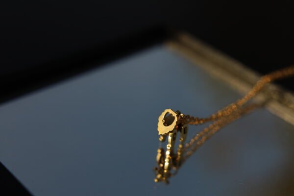 lion locket necklace
