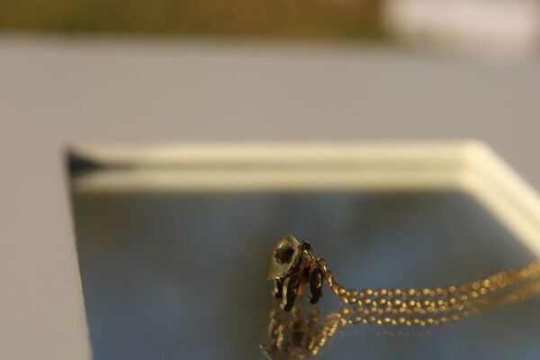 lion locket necklace