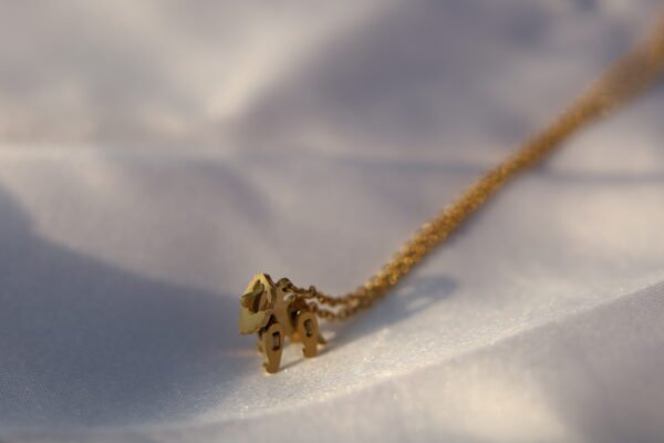lion locket necklace