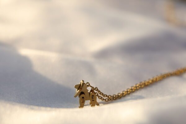 lion locket necklace